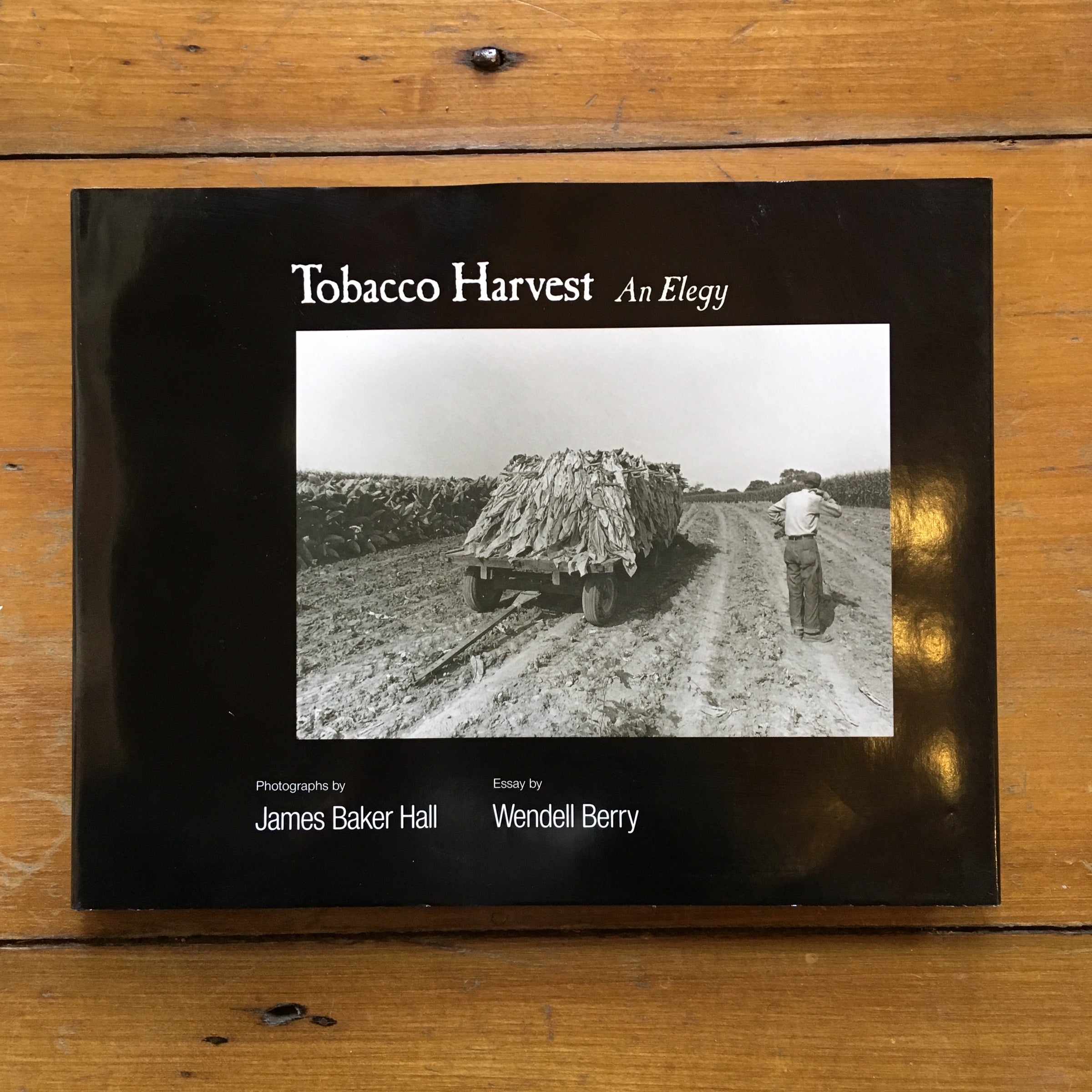 tobacco harvest an elegy Tobacco Harvest An Elegy
